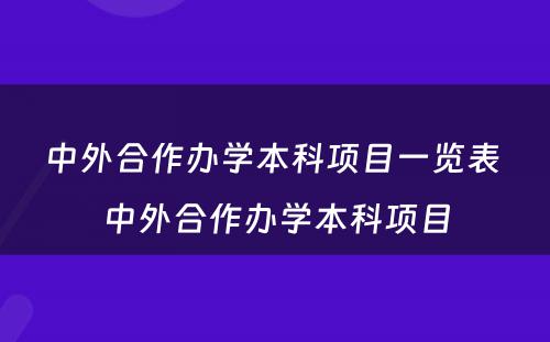 中外合作办学本科项目一览表 中外合作办学本科项目