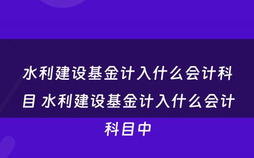 水利建设基金计入什么会计科目 水利建设基金计入什么会计科目中