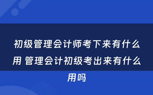 初级管理会计师考下来有什么用 管理会计初级考出来有什么用吗