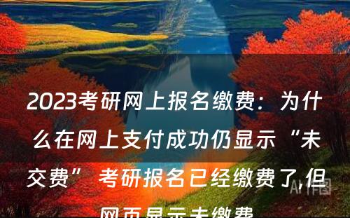 2023考研网上报名缴费：为什么在网上支付成功仍显示“未交费” 考研报名已经缴费了,但网页显示未缴费