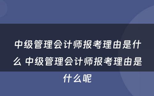 中级管理会计师报考理由是什么 中级管理会计师报考理由是什么呢