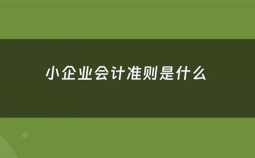 小企业会计准则是什么 