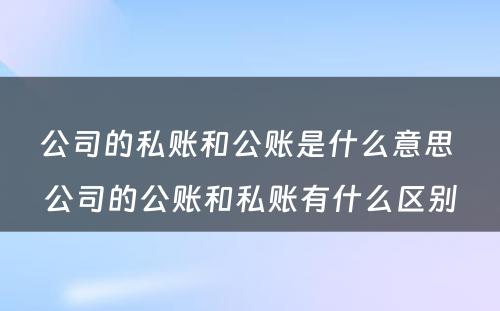 公司的私账和公账是什么意思 公司的公账和私账有什么区别