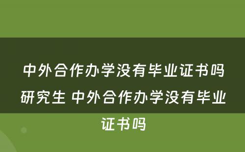 中外合作办学没有毕业证书吗研究生 中外合作办学没有毕业证书吗