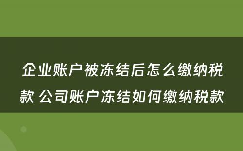 企业账户被冻结后怎么缴纳税款 公司账户冻结如何缴纳税款