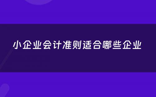 小企业会计准则适合哪些企业 