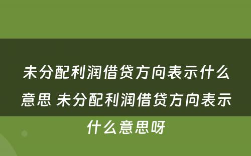 未分配利润借贷方向表示什么意思 未分配利润借贷方向表示什么意思呀