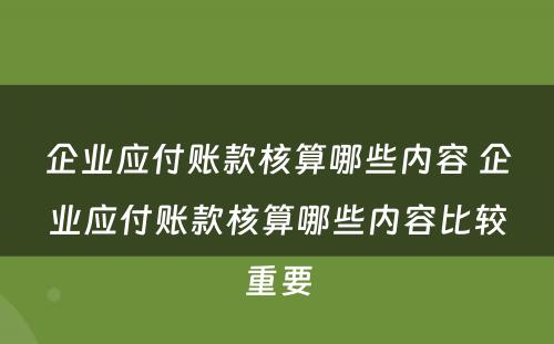 企业应付账款核算哪些内容 企业应付账款核算哪些内容比较重要