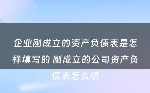 企业刚成立的资产负债表是怎样填写的 刚成立的公司资产负债表怎么填