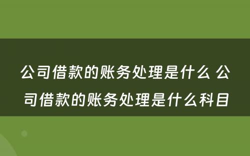 公司借款的账务处理是什么 公司借款的账务处理是什么科目