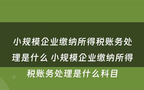 小规模企业缴纳所得税账务处理是什么 小规模企业缴纳所得税账务处理是什么科目