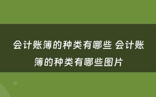 会计账簿的种类有哪些 会计账簿的种类有哪些图片