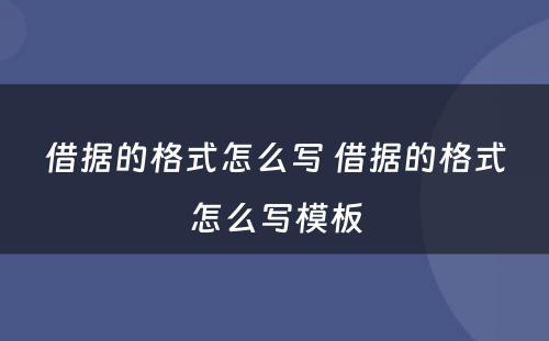 借据的格式怎么写 借据的格式怎么写模板