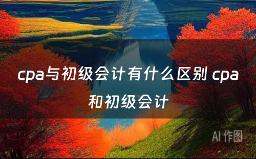 cpa与初级会计有什么区别 cpa和初级会计