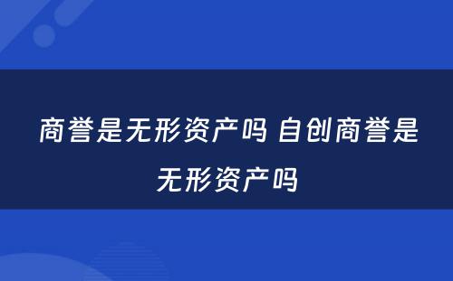 商誉是无形资产吗 自创商誉是无形资产吗