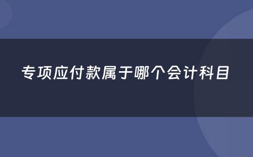 专项应付款属于哪个会计科目 