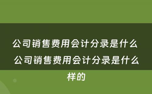 公司销售费用会计分录是什么 公司销售费用会计分录是什么样的