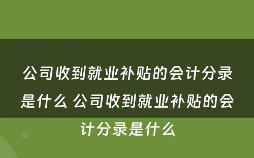 公司收到就业补贴的会计分录是什么 公司收到就业补贴的会计分录是什么