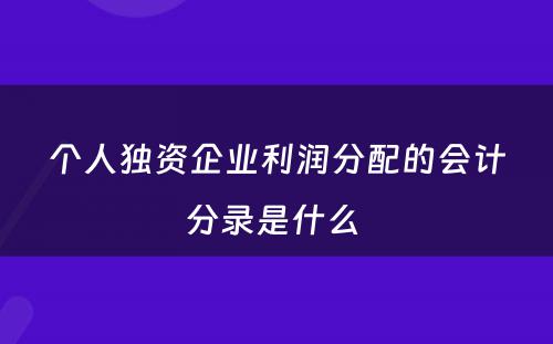 个人独资企业利润分配的会计分录是什么 