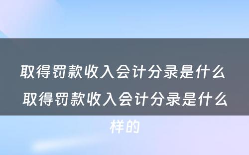 取得罚款收入会计分录是什么 取得罚款收入会计分录是什么样的