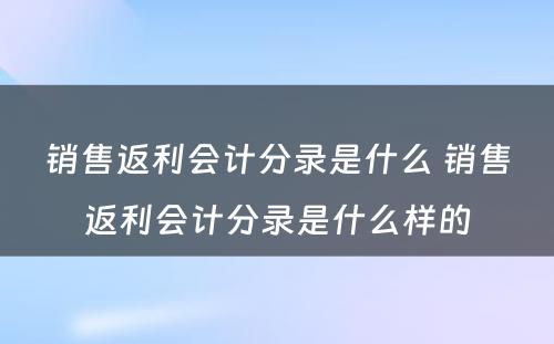 销售返利会计分录是什么 销售返利会计分录是什么样的