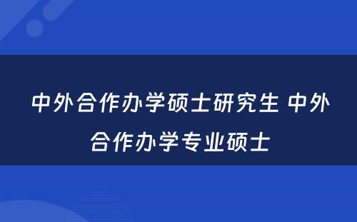 中外合作办学硕士研究生 中外合作办学专业硕士