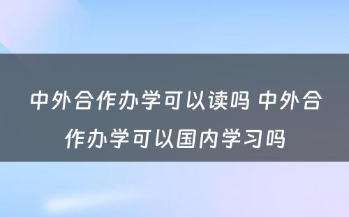 中外合作办学可以读吗 中外合作办学可以国内学习吗