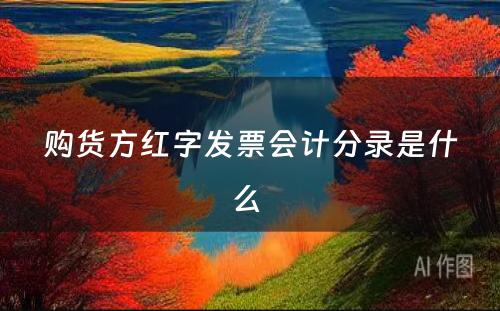 购货方红字发票会计分录是什么 