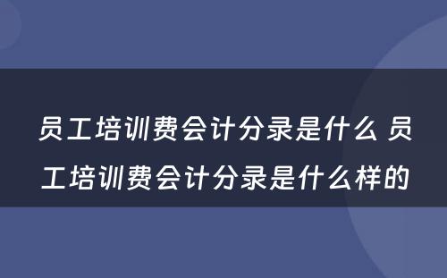 员工培训费会计分录是什么 员工培训费会计分录是什么样的