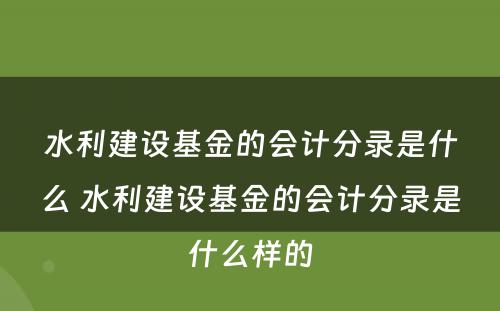 水利建设基金的会计分录是什么 水利建设基金的会计分录是什么样的