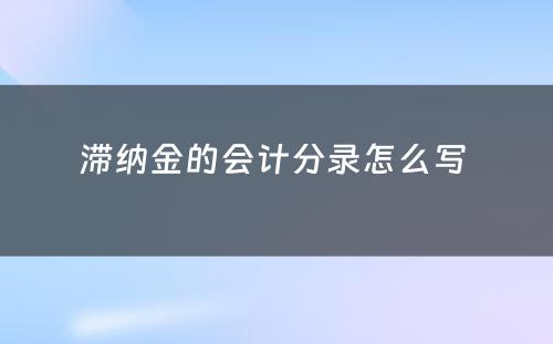 滞纳金的会计分录怎么写 