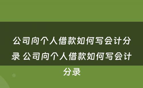 公司向个人借款如何写会计分录 公司向个人借款如何写会计分录