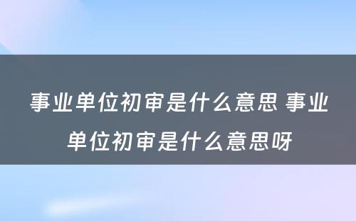 事业单位初审是什么意思 事业单位初审是什么意思呀