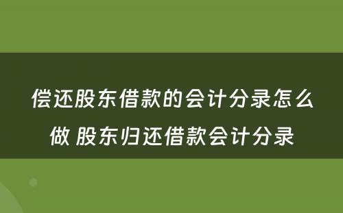 偿还股东借款的会计分录怎么做 股东归还借款会计分录