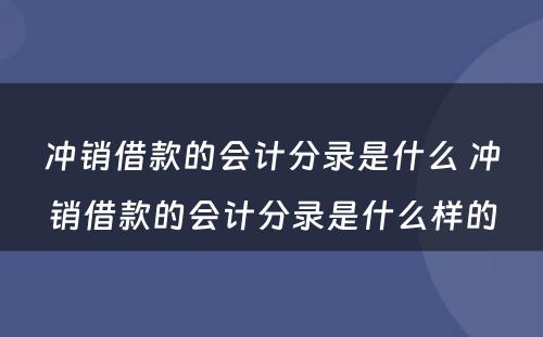 冲销借款的会计分录是什么 冲销借款的会计分录是什么样的