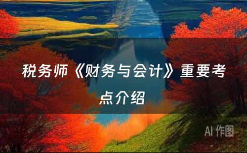 税务师《财务与会计》重要考点介绍 