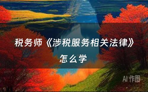 税务师《涉税服务相关法律》怎么学 