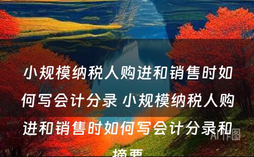 小规模纳税人购进和销售时如何写会计分录 小规模纳税人购进和销售时如何写会计分录和摘要