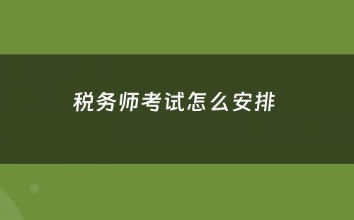 税务师考试怎么安排 