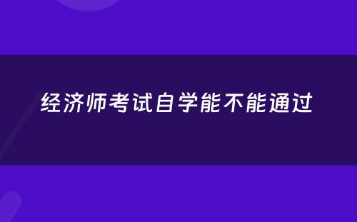 经济师考试自学能不能通过 