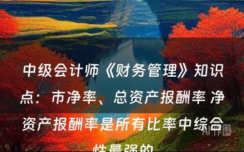 中级会计师《财务管理》知识点：市净率、总资产报酬率 净资产报酬率是所有比率中综合性最强的