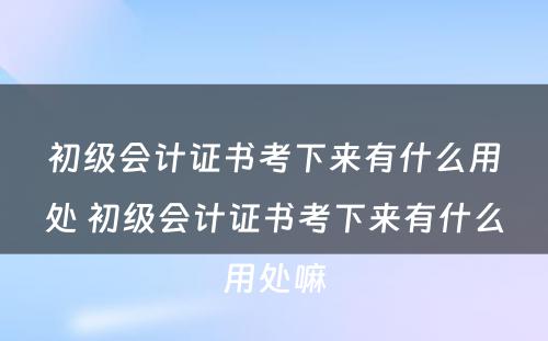 初级会计证书考下来有什么用处 初级会计证书考下来有什么用处嘛