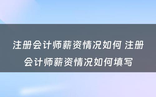 注册会计师薪资情况如何 注册会计师薪资情况如何填写