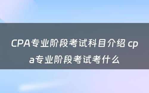 CPA专业阶段考试科目介绍 cpa专业阶段考试考什么