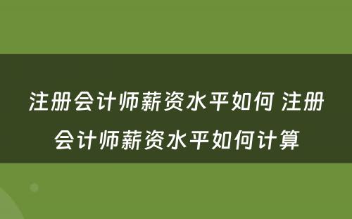 注册会计师薪资水平如何 注册会计师薪资水平如何计算