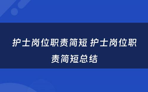 护士岗位职责简短 护士岗位职责简短总结