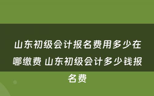 山东初级会计报名费用多少在哪缴费 山东初级会计多少钱报名费