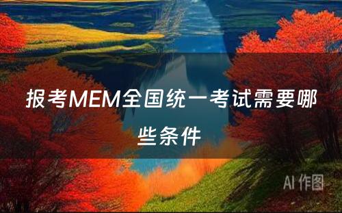 报考MEM全国统一考试需要哪些条件 