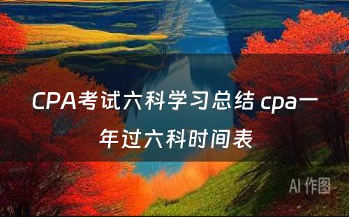 CPA考试六科学习总结 cpa一年过六科时间表