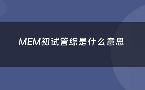 MEM初试管综是什么意思 